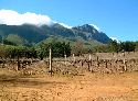 cliquez ici pour voir l'image (053route vins.jpg)